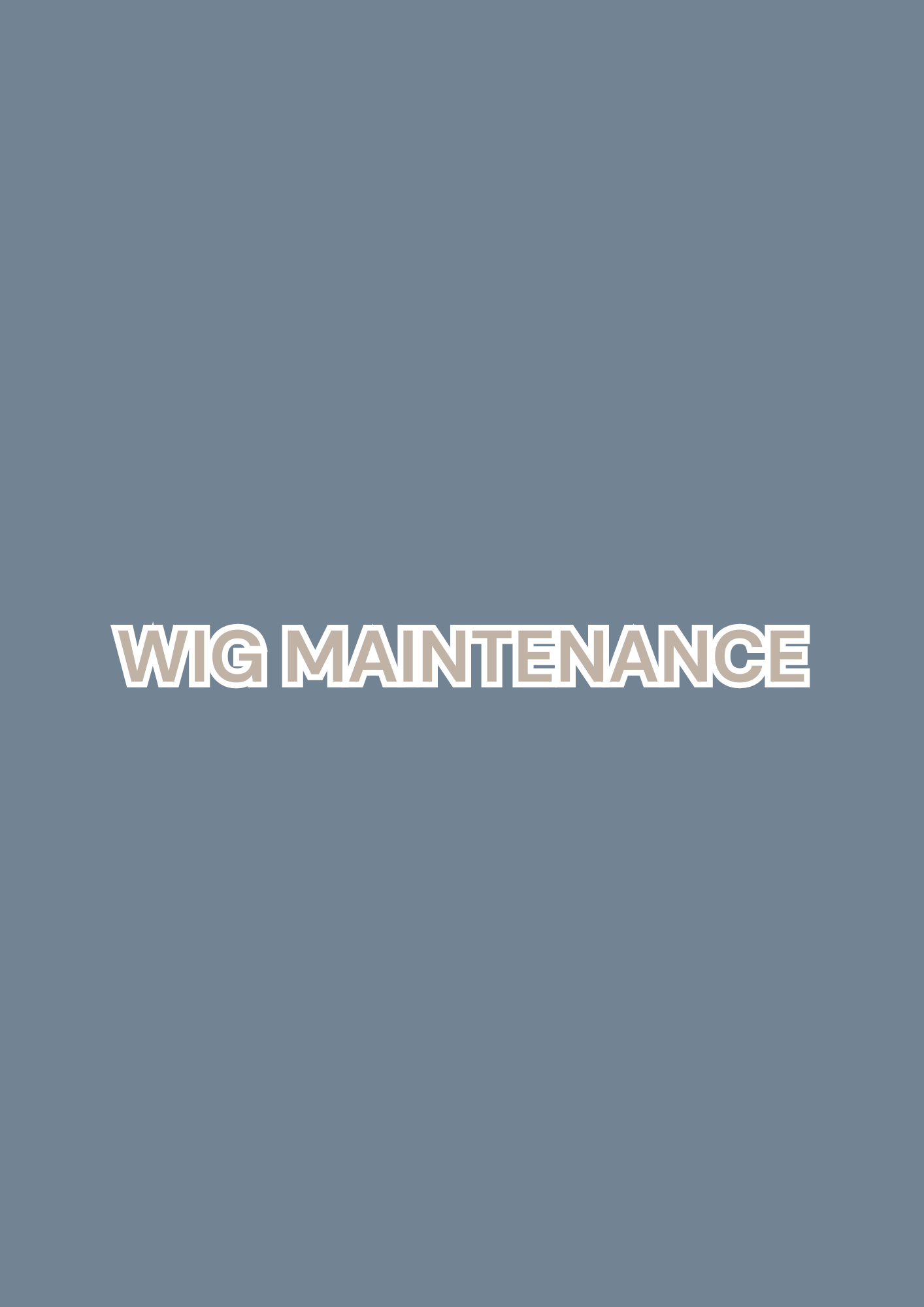 WIG MAINTENANCE